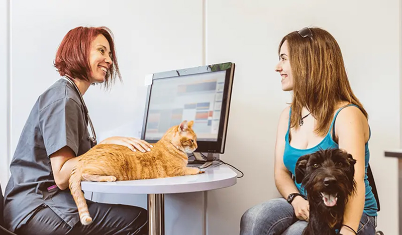 Transforming-Digital-Payments-Vetsources-Scalable-Digital-Evolution Transforming-Digital-Payments-Vetsources-Scalable-Digital-Evolution